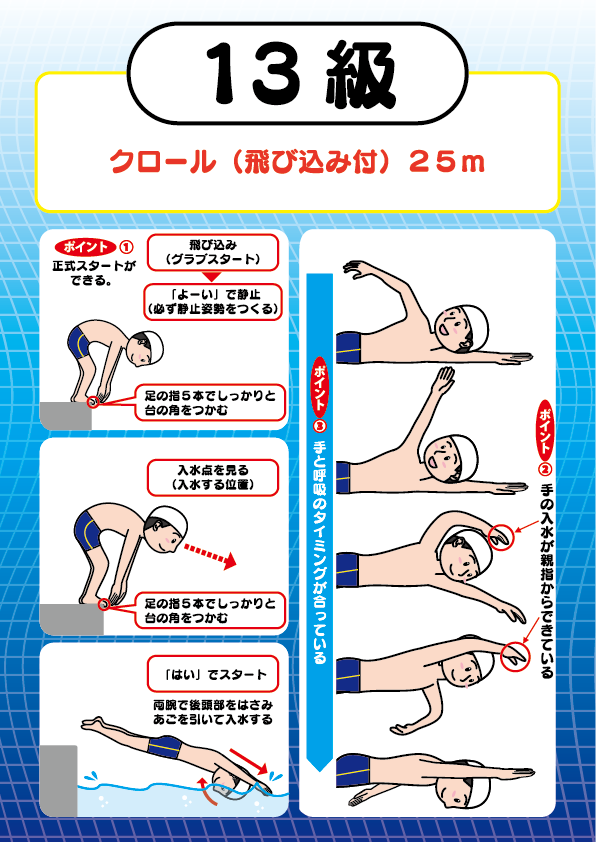 13級
