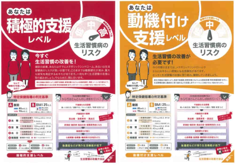 個別指導タイプ健康指導の種類の例