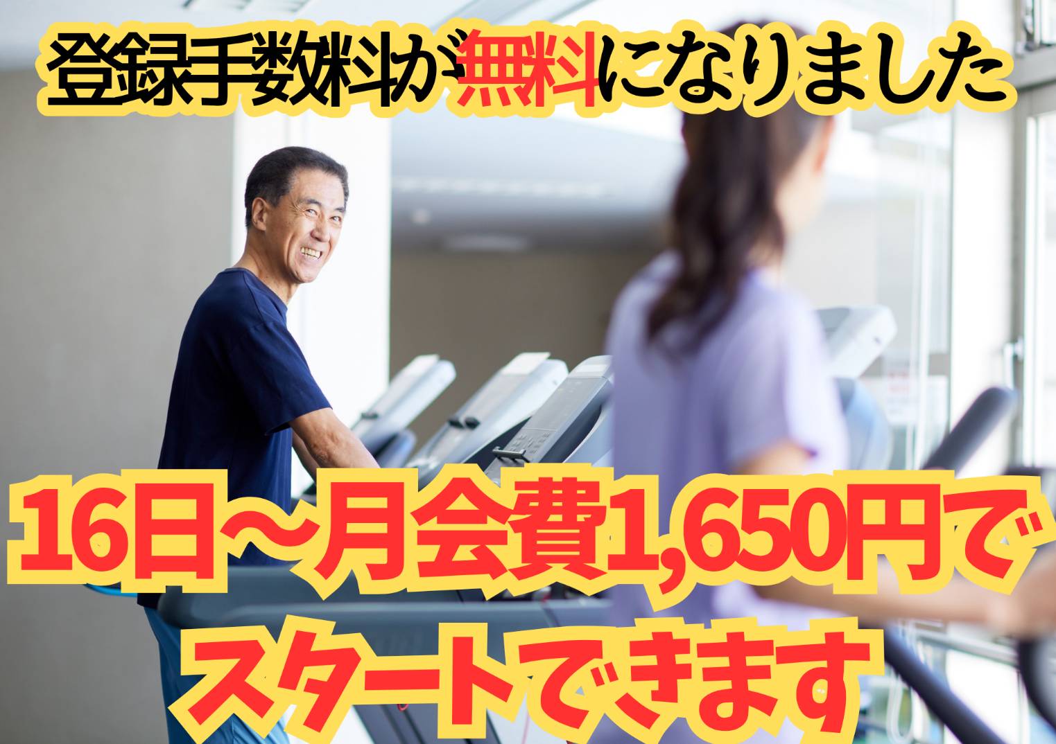 半額1,650円